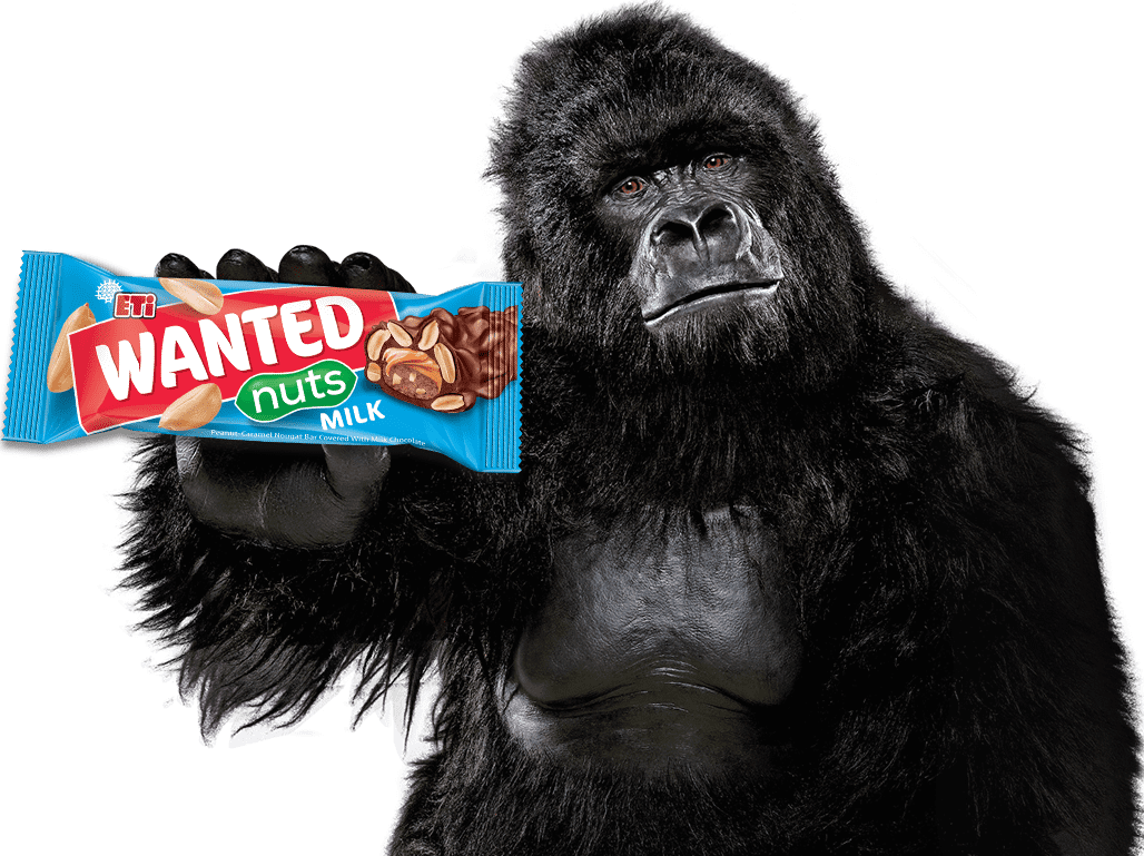 ETI wanted - gorilla